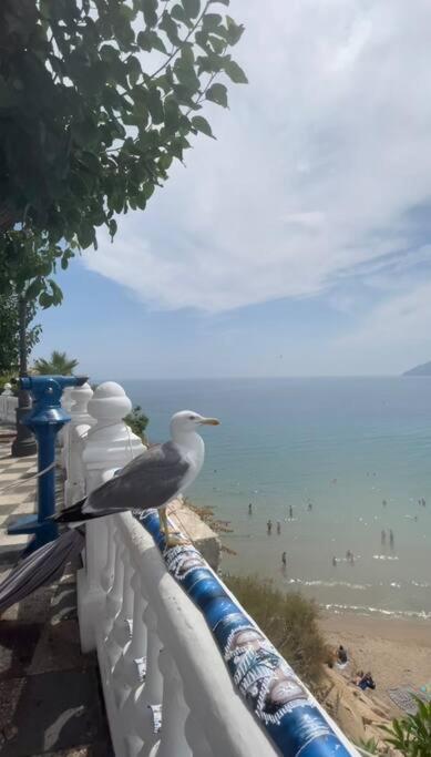 Apartamento Centrico Y En Primera Linea De Playa Lejlighed Benidorm Eksteriør billede