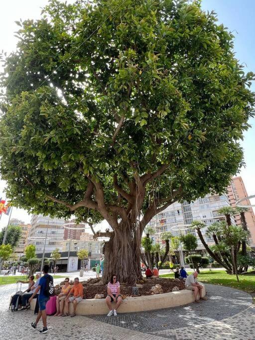 Apartamento Centrico Y En Primera Linea De Playa Lejlighed Benidorm Eksteriør billede